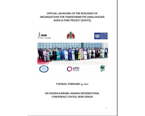 Project Launch Report