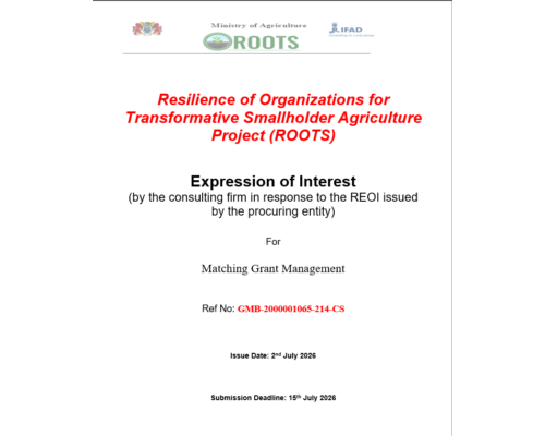 Expression of Interest! (By the consulting firm in response to the REOI Issued by the procuring entity)