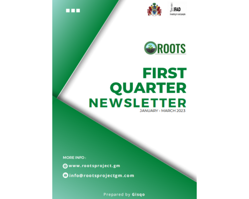 ROOTS FIRST QUARTER NEWSLETTER