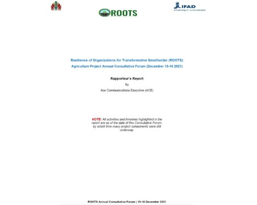 ANNUAL CONSULTATIVE FORUM REPORT