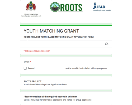 Youth-Based Matching Grant Application Form