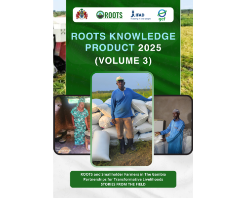 Roots Knowledge Product 2025 (Volum 3)
