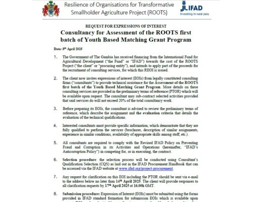 Consultancy for Assessment of the ROOTS first batch of Youth-Based Matching Grant Program!