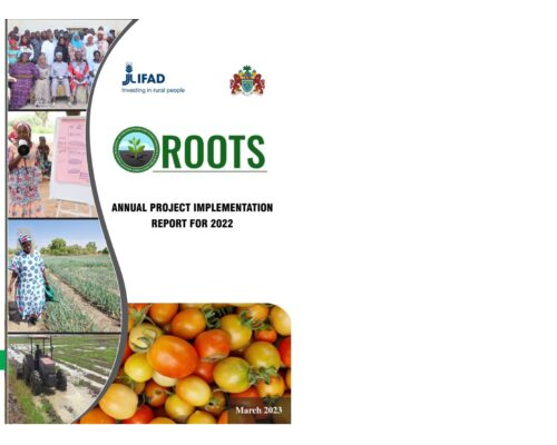 ANNUAL PROJECT IMMPLEMENTATION REPORT FOR 2022