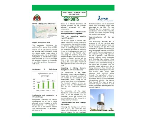 Newsletter – Q3 Quarterly Brief