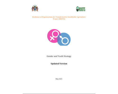ROOTS Gender and Youth Strategy