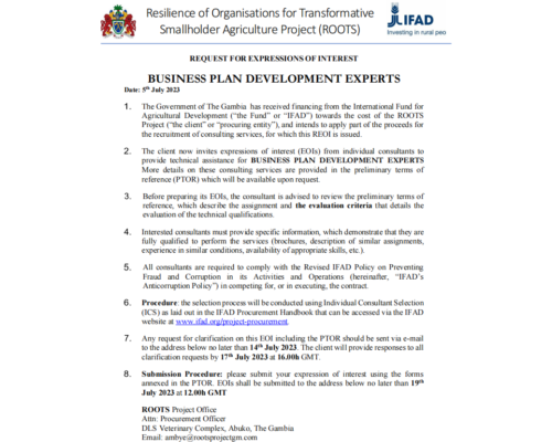 Business Plan Development Experts