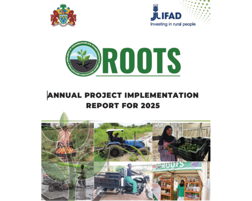 ROOTS ANNUAL PROJECT IMPLEMENTATION REPORT FOR 2025
