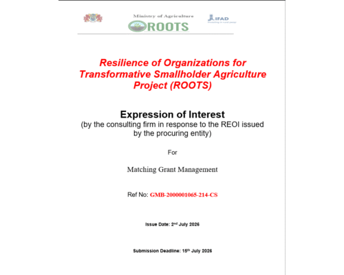 Expression of Interest! (By the consulting firm in response to the REOI Issued by the procuring entity)