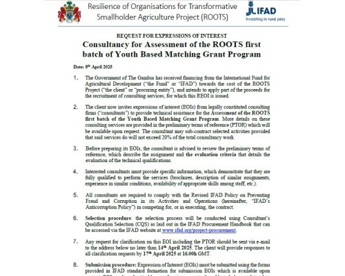 Consultancy for Assessment of the ROOTS first batch of Youth-Based Matching Grant Program!