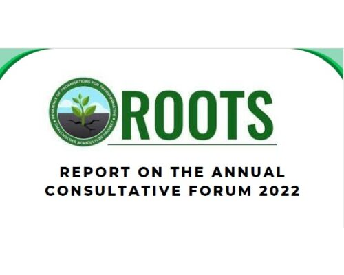 ROOTS Annual Consultative Report – 2022