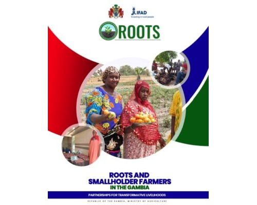 Final draft ROOTS KP V1