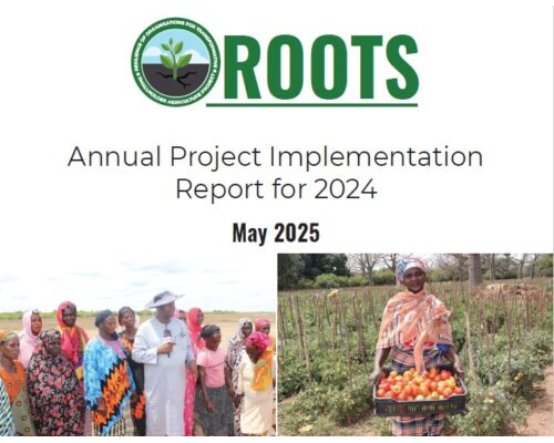 Annual Project Implementation Report 2024