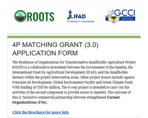 4P Matching Grant (3.0)